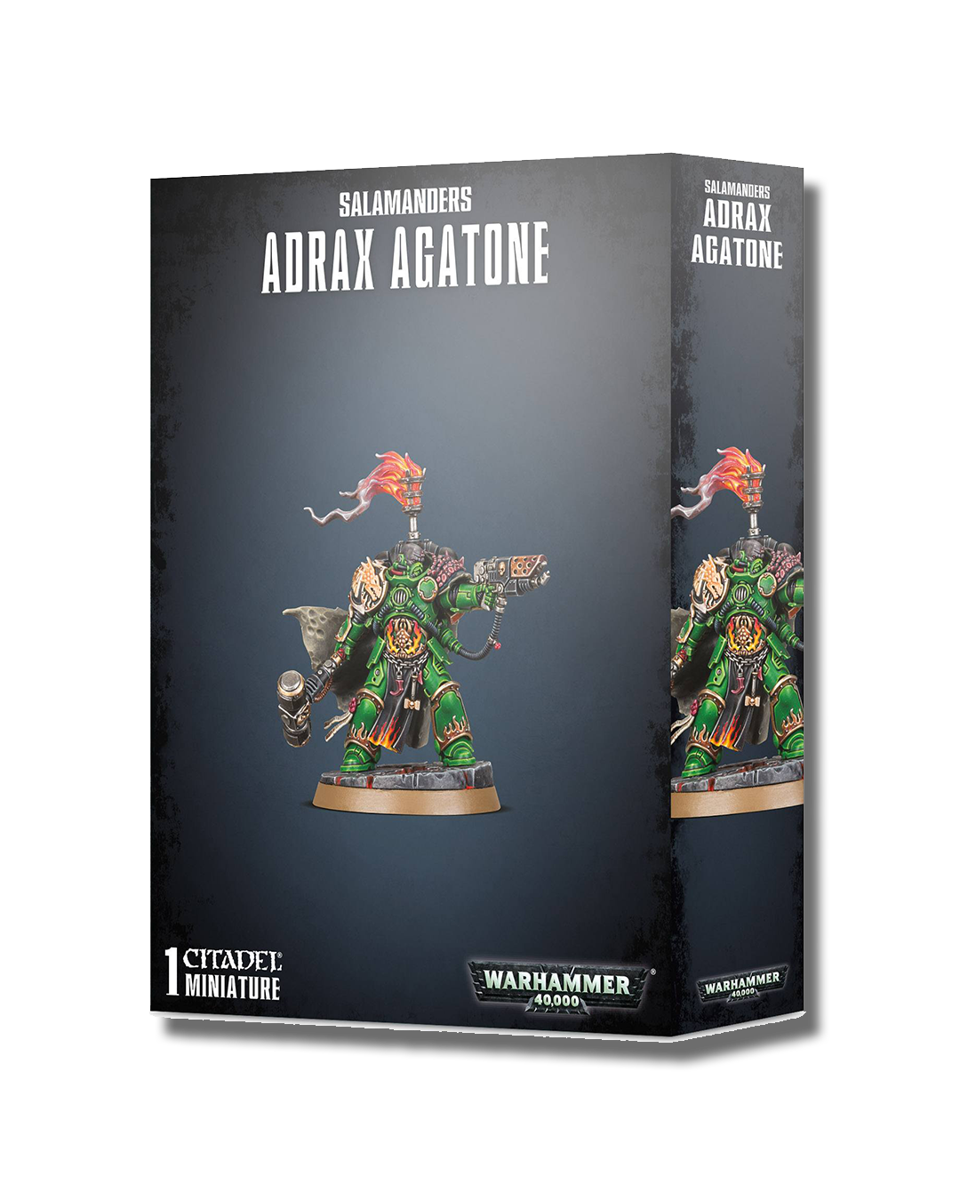 SALAMANDERS: ADRAX AGATONE