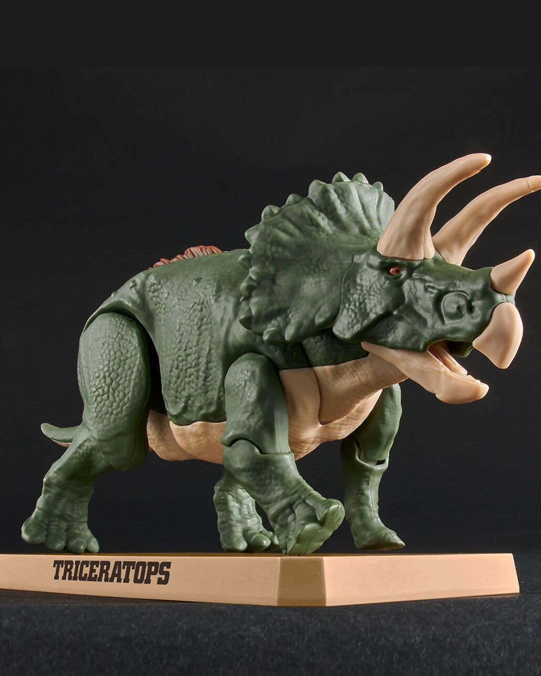 Dinosaur Triceratops Plastic Model Kit