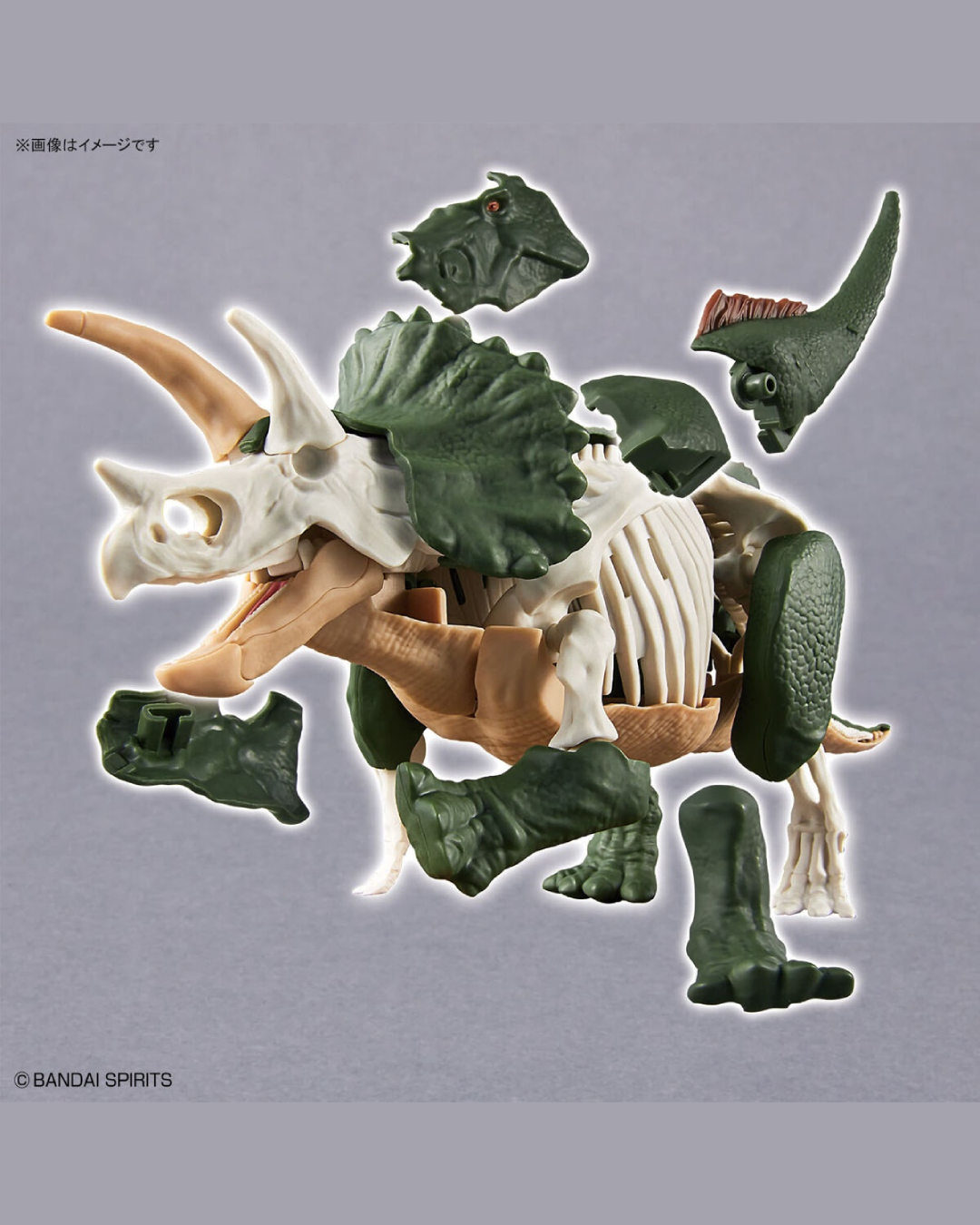 Dinosaur Triceratops Plastic Model Kit