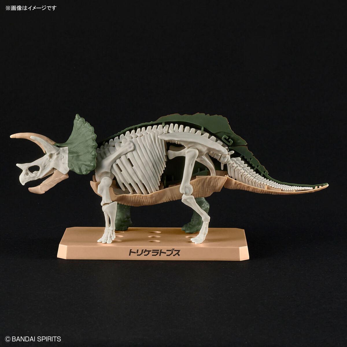 Dinosaur Triceratops Plastic Model Kit