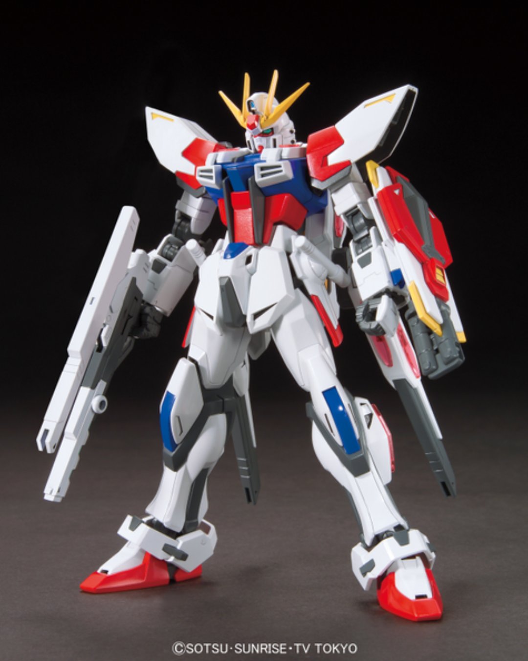 HG BF 009 Star Build Strike Gundam Plavsky Wing Build Fighter Sei Iori Custom Made Mobile Suit