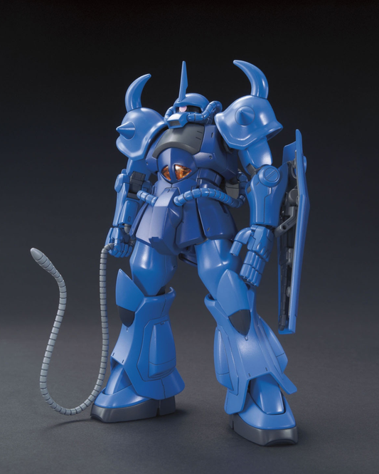 HG UC 196 MS-07B Gouf